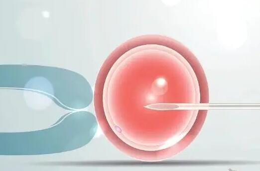 试管婴儿定方案后使用氯米芬促排卵的效果有差异吗，了解监测和预测排卵