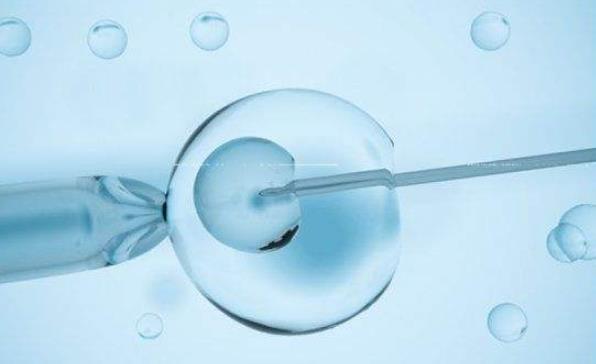 试管婴儿激素检查半年后需重新进行检验，激素检查有效期不长的原因