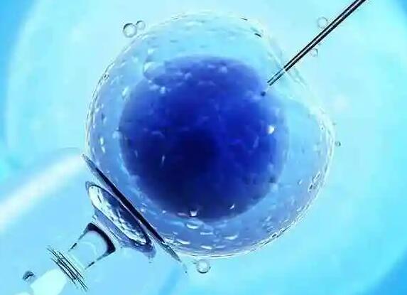 三代试管在胚胎移植前能检查出空孕囊吗