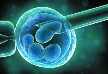 美国第三代试管基因检测技术是否会破坏胚胎质量