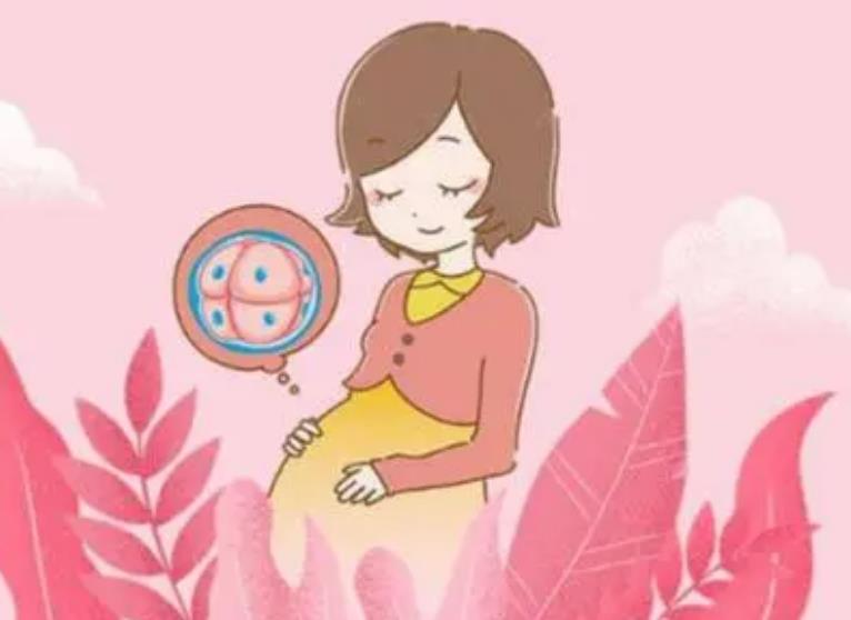 泰国第二代试管婴儿选性别费用贵附费用成功率介绍