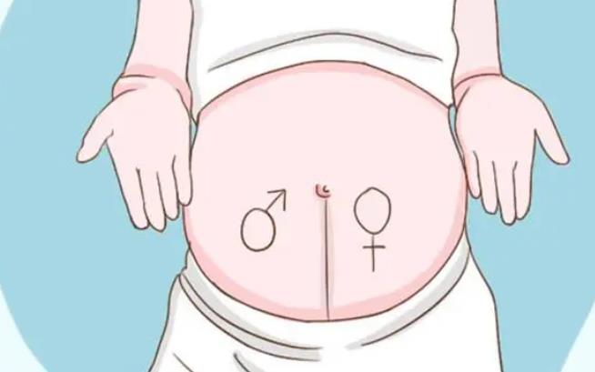 试管移植32天孕囊大小如何判断，孕囊大小和血值hcg关系的重要性