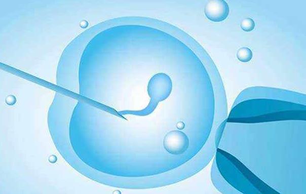 试管婴儿胚胎移植后血值高但孕酮和雌二醇都比较低是什么原因呢