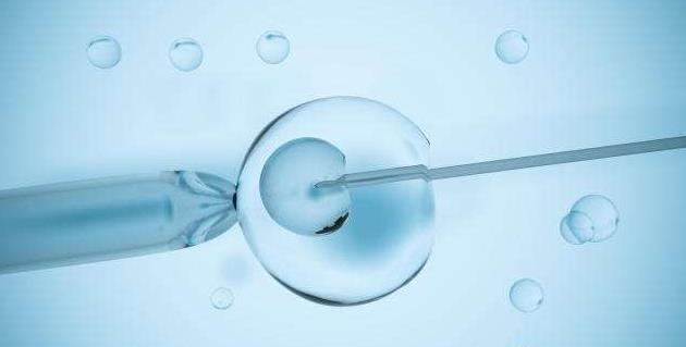营养护航胚胎移植后饮食五项原则