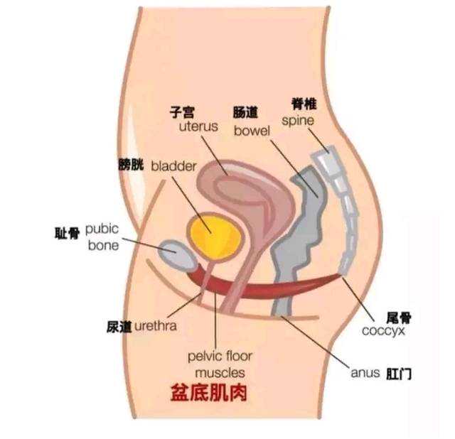 武汉辅助生育哪里专业？本地vs外地医院选择指南