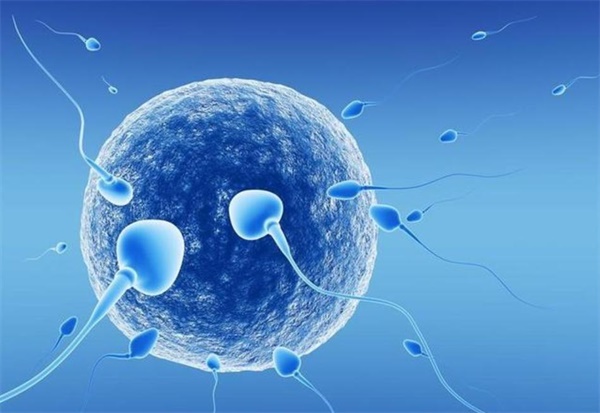 卵巢衰退怀孕难求有土耳其试管婴儿的详细教程
