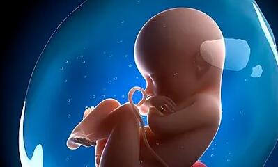 多卵巢综合症可做试管吗多卵巢综合症能怀孩子吗